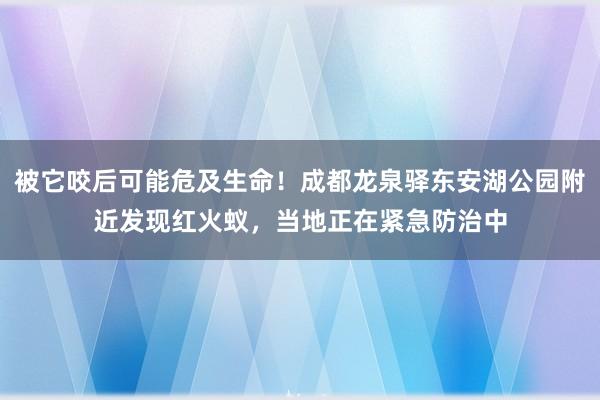 被它咬后可能危及生命!成都龙泉驿东安湖公园附近发现红火蚁,当地正在紧急防治中