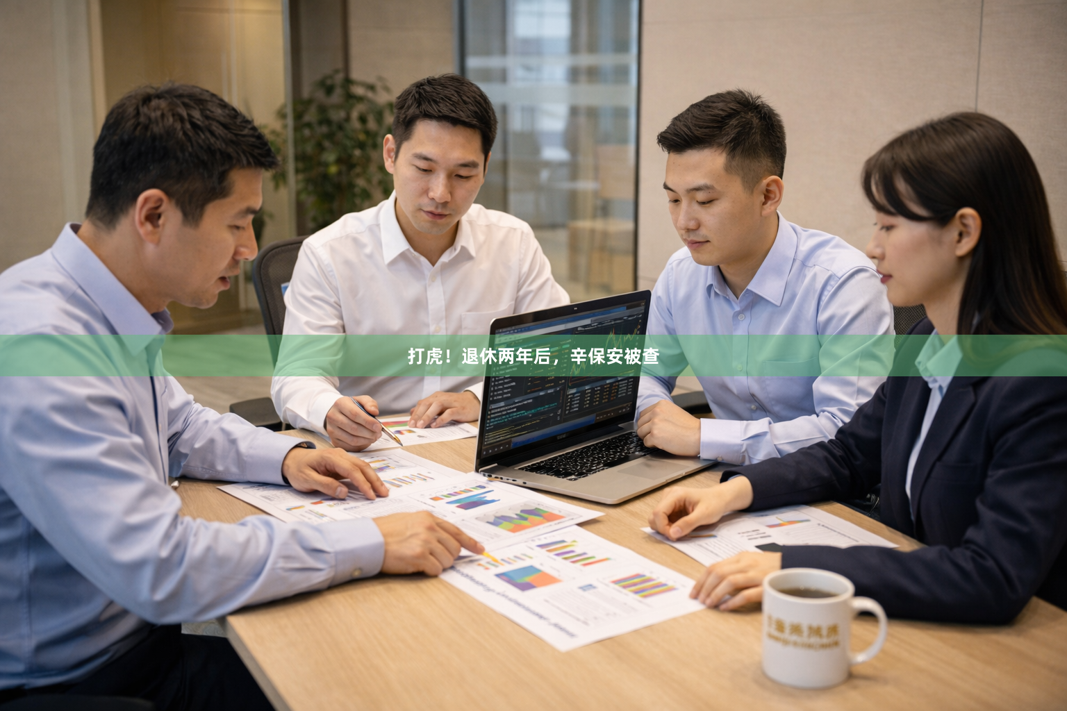 打虎！退休两年后，辛保安被查